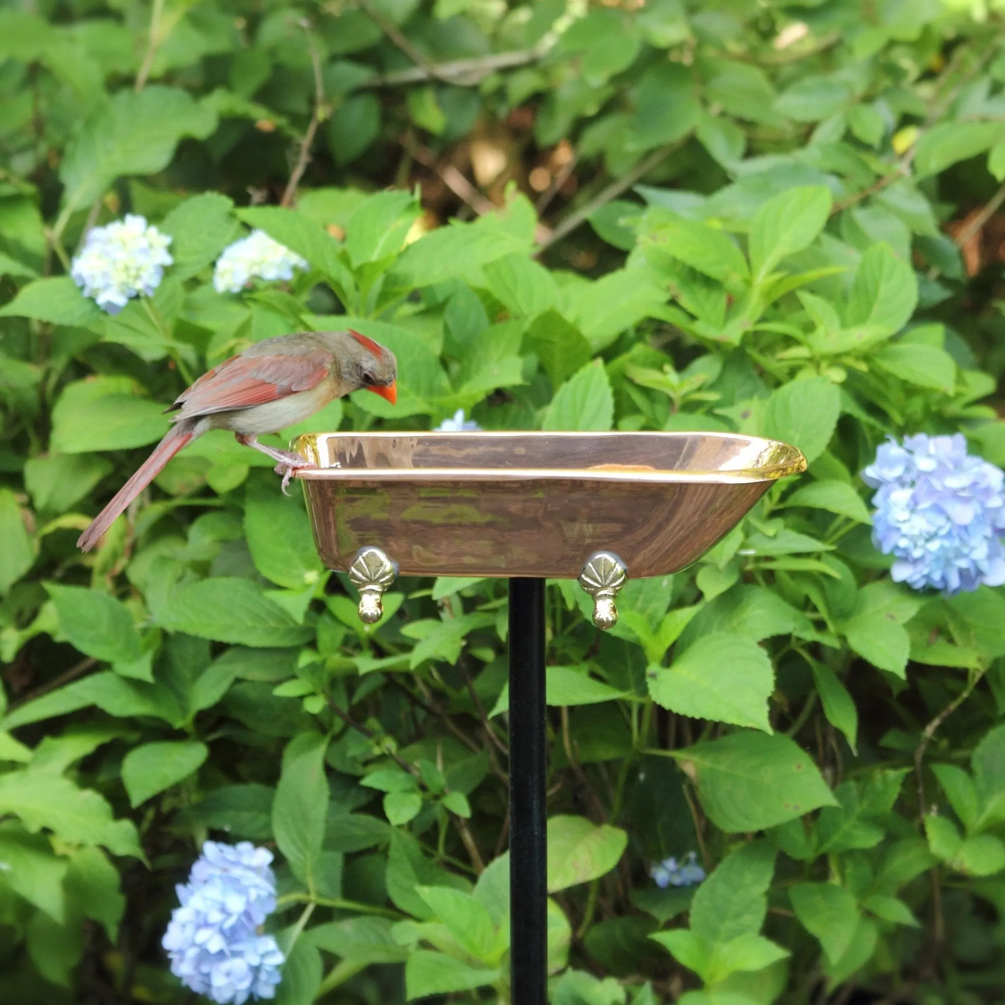 Splish Splash Copper Birdbath