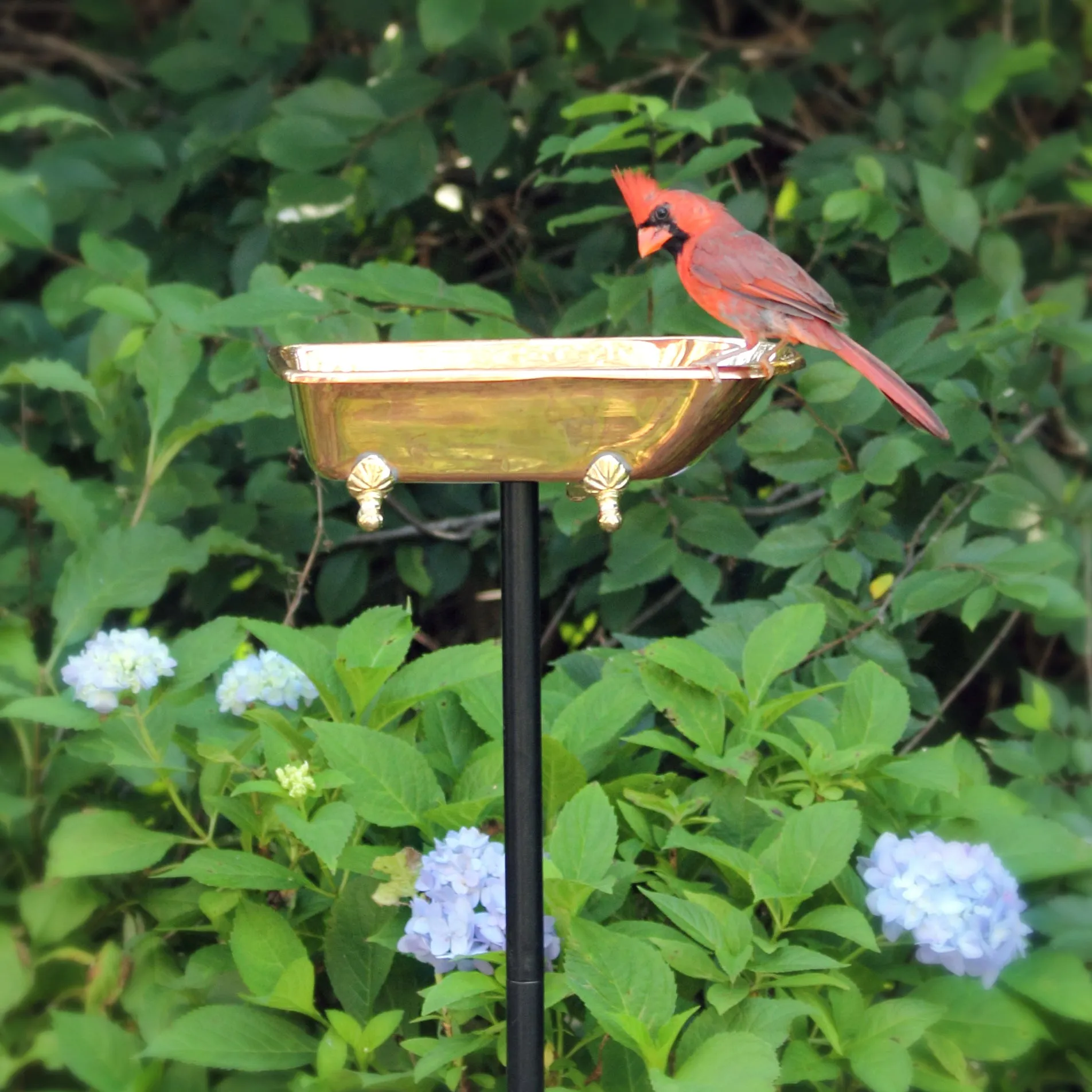 Splish Splash Copper Birdbath