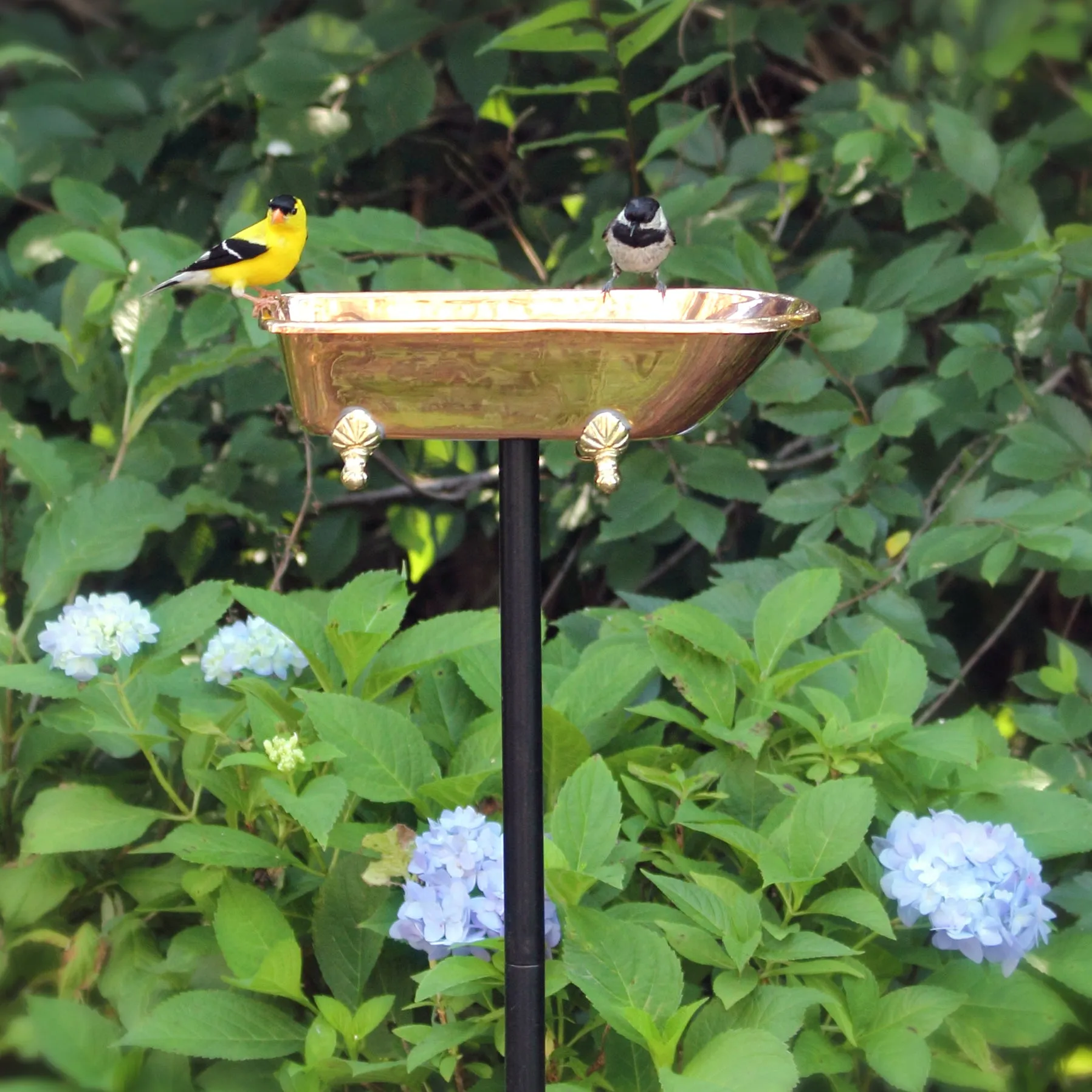 Splish Splash Copper Birdbath